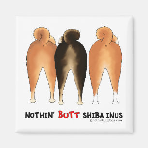 Íman Nada termina Shiba Inus