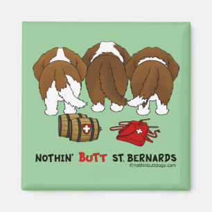 Íman Nada termina St. Bernards