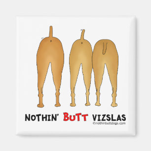 Íman Nada termina Vizslas