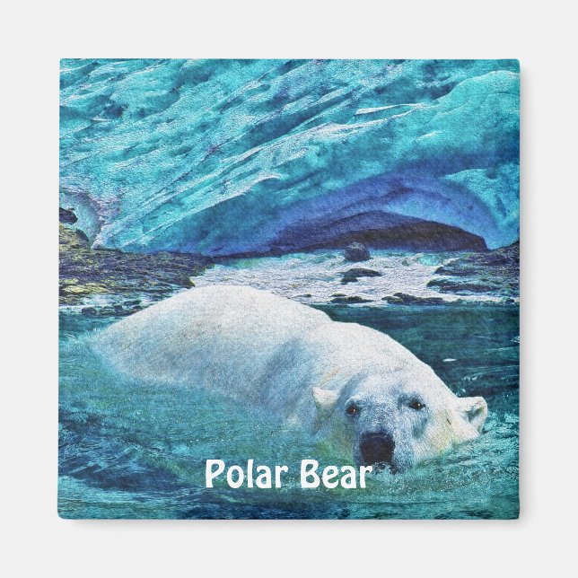 Íman Nadar Urso Polar e Magneta de Arte Selvagem de Gel (Frente)