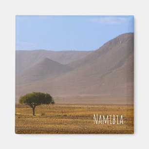 Íman Namíbia África Desert Scenerescage Natureza