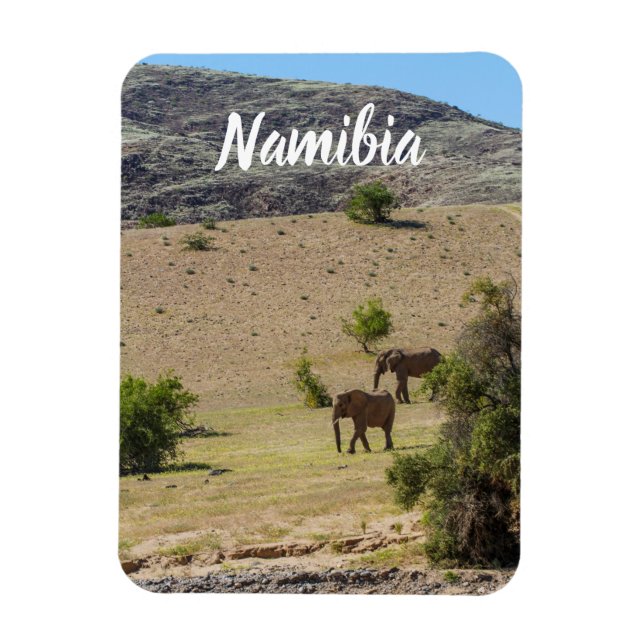 Íman Namíbia Africa Huab River Elephant Damaraland (Vertical)