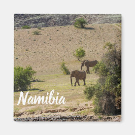 Íman Namíbia Africa Huab River Elephant Damaraland