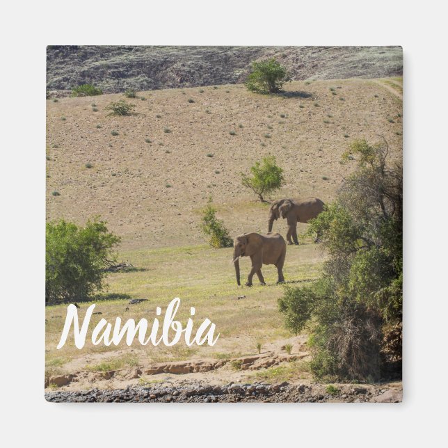 Íman Namíbia Africa Huab River Elephant Damaraland (Frente)
