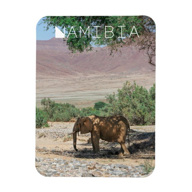 Íman Namíbia Africa Huab River Elephant Damaraland (Vertical)