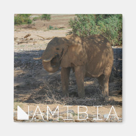 Íman Namíbia Africa Huab River Elephant Damaraland