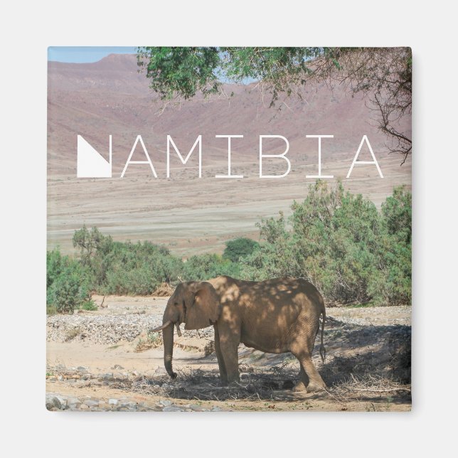 Íman Namíbia Africa Huab River Elephant Damaraland (Frente)