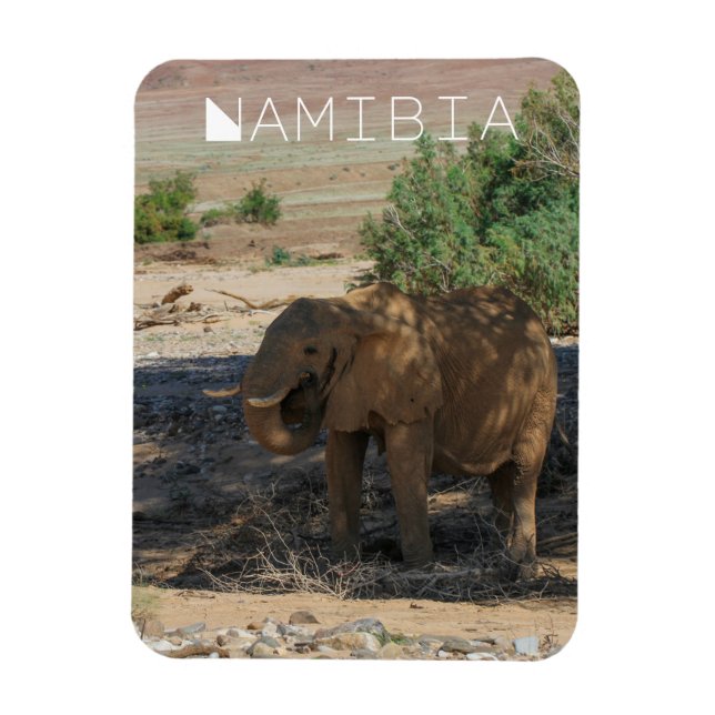 Íman Namíbia Africa Huab River Elephant Damaraland (Vertical)