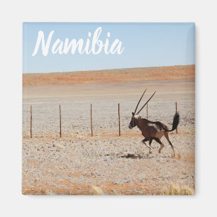 Íman Namíbia Paisagem africana Deserto da Namíbia Ory