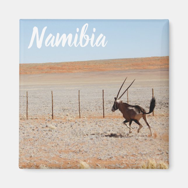 Íman Namíbia Paisagem africana Deserto da Namíbia Oryx (Frente)