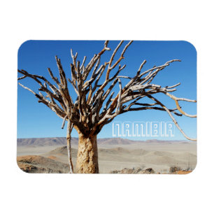 Íman Namíbia Tirool Namib Paisagem do Deserto Kokerboom