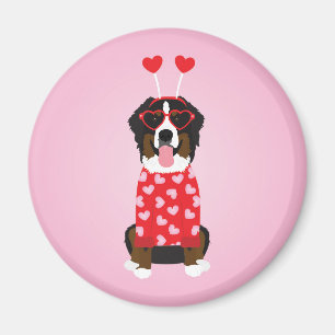 Íman Namorados Bernese Mountain Dog