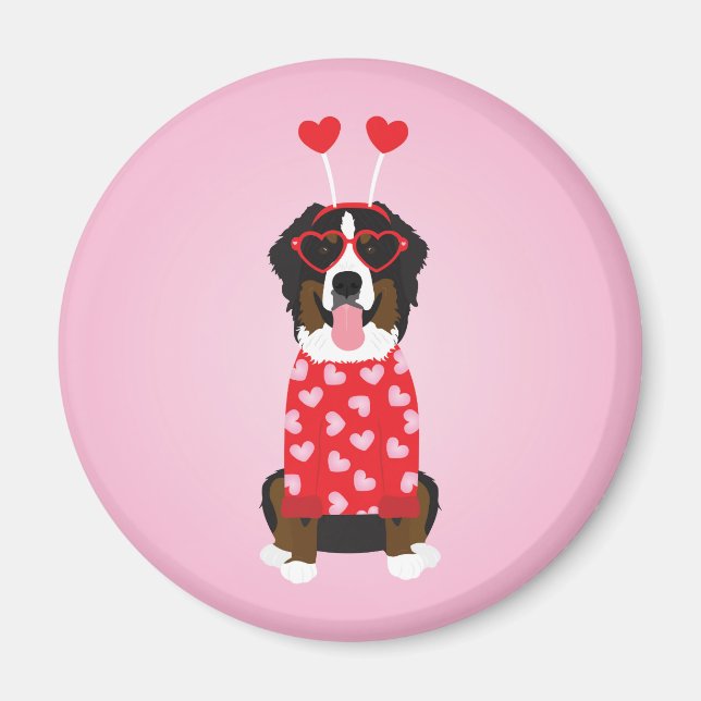 Íman Namorados Bernese Mountain Dog (Frente)