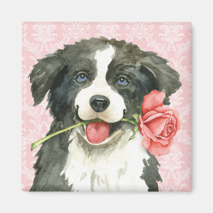 Íman Namorados border collie cor-de-rosa