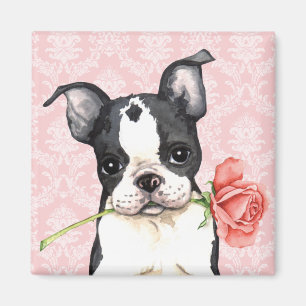 Íman Namorados Boston cor-de-rosa Terrier