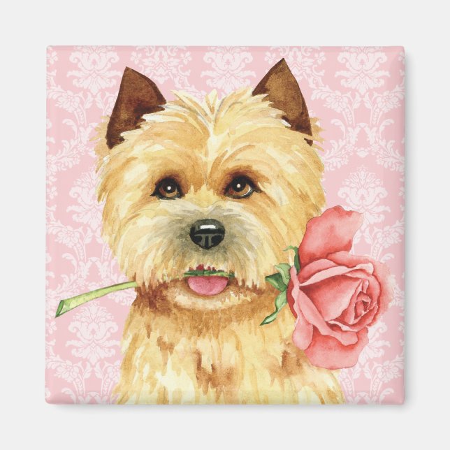 Íman Namorados Cairn Terrier Magnet (Frente)