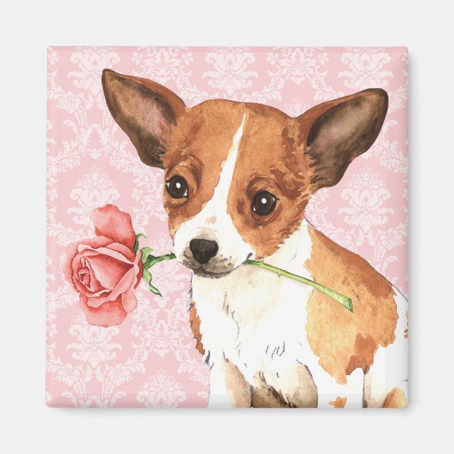Íman Namorados Chihuahua (Frente)