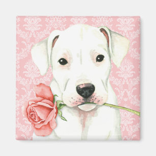 Íman Namorados Dogo cor-de-rosa