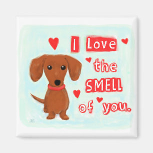 Íman Namorados engraçados do cão do Wiener do amor   