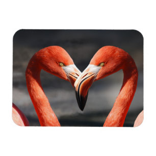 Íman Namorados Flamingo