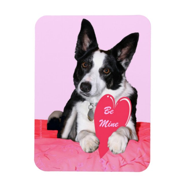 Íman Namorados Magnet - "Magpie" (Vertical)