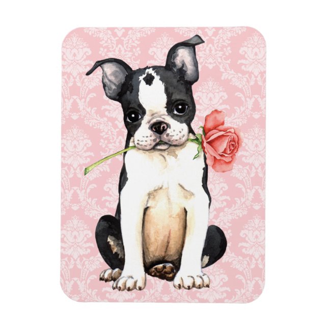 Íman Namorados Rosa Boston Terrier (Vertical)