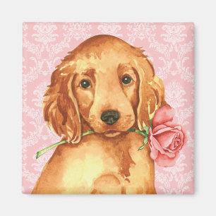 Íman Namorados Rosa Irish Setter