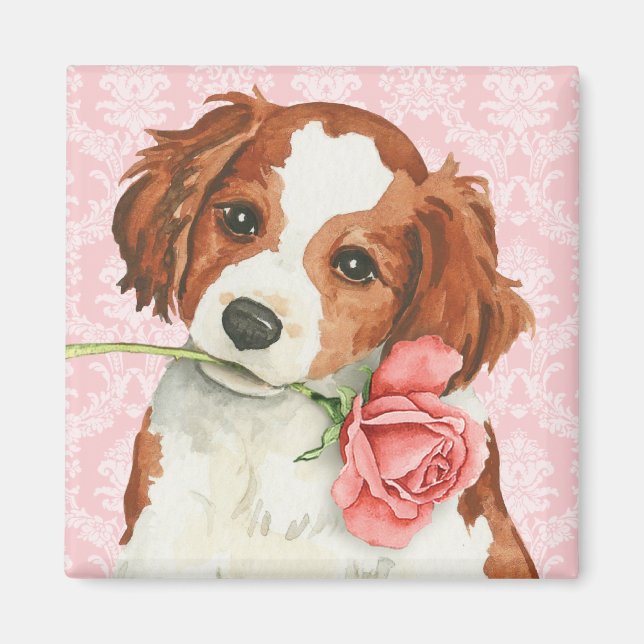 Íman Namorados Rosa Kooiker (Frente)