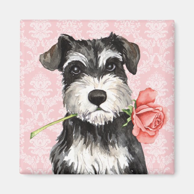 Íman Namorados Rosa Mini Schnauzer (Frente)