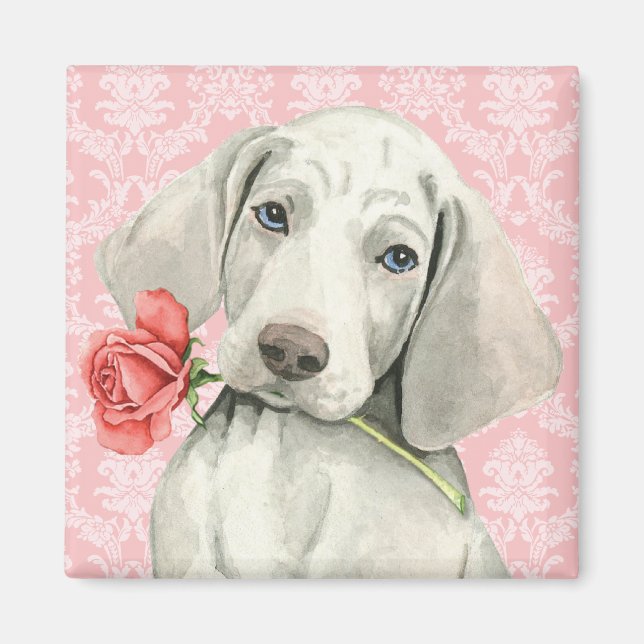 Íman Namorados Rosa Weimaraner (Frente)