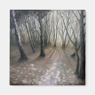 Íman Não.2 - "After the snow", por Ron McGill.