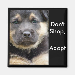 Íman Não comprar adotam! ímãs do shep