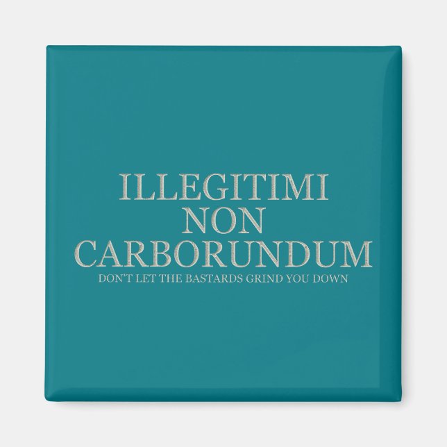 Íman Não deixe os bastardos te moverem para baixo - Luz (Frente)