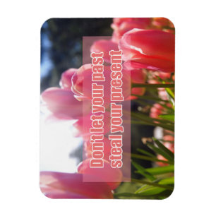 Íman Não deixe seu passado roubar seu presente