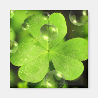 Íman Não deixe sua sorte lavar o ímã