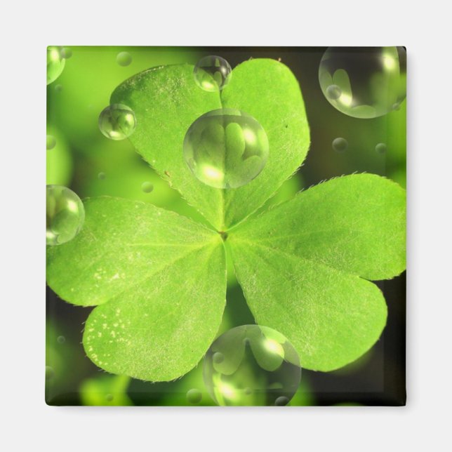 Íman Não deixe sua sorte lavar o ímã (Frente)