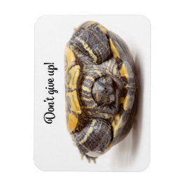 Íman Não desista do encorajamento de tartaruga invertid