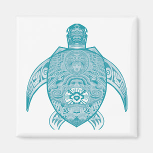 Íman Não é maravilha comum