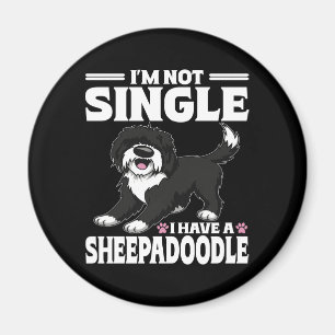 Íman Não Estou Solteiro Tenho Um Amante Sheepadoodle