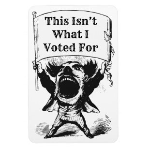 Íman Não foi por isso que votei