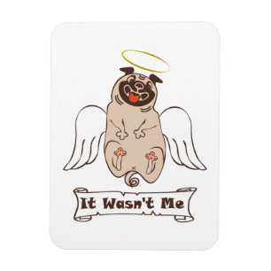Íman Não foi uma citação engraçada do meu anjo