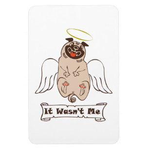 Íman Não foi uma citação engraçada do meu anjo