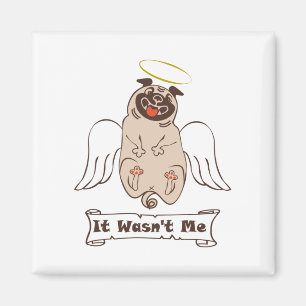 Íman Não foi uma citação engraçada do meu anjo
