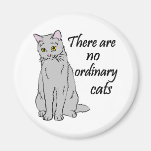 Íman Não Há Gatos Comuns