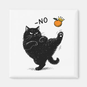 Íman Não Há Reis Nos Estados Unidos Memória Política En