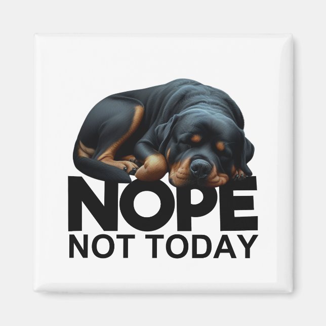 Íman Não Hoje, Rottweiler (Frente)
