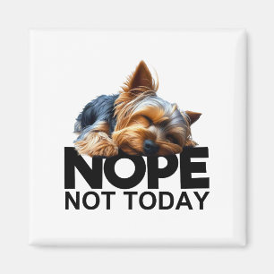 Íman Não Hoje Yorkshire Terrier