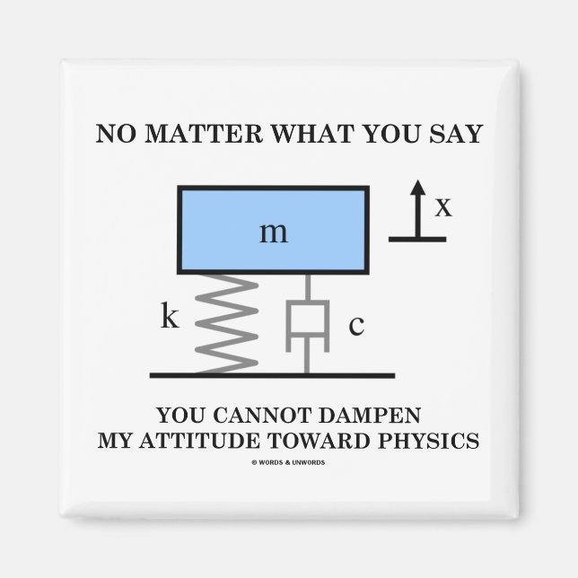 Íman Não Importa O Que Você Diz Não Pode Dampen Physics (Frente)