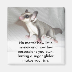 Íman Não importa quanto dinheiro e quanto...