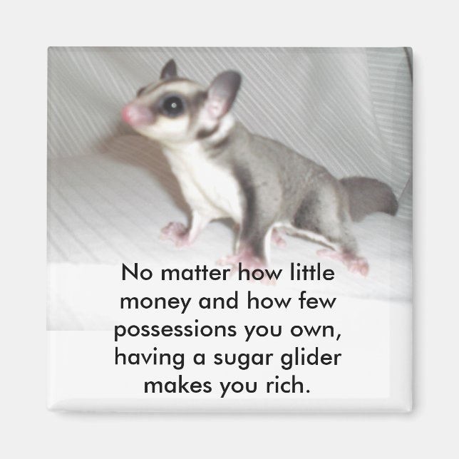 Íman Não importa quanto dinheiro e quanto... (Frente)